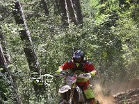 IMG 9074