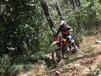 IMG 9111