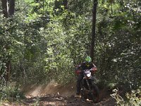 IMG 9114