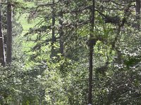 IMG 9132