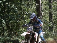 IMG 9135