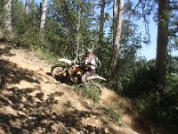 IMG 9144