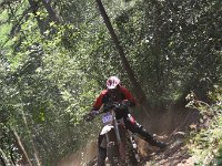 IMG 9146