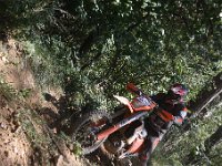 IMG 9154