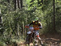 IMG 9160