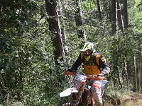 IMG 9161