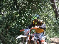 IMG 9162