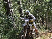 IMG 9167