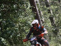 IMG 9173