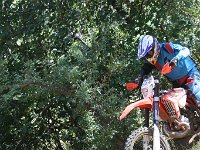 IMG 9190