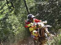 IMG 9193