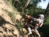 IMG 9196