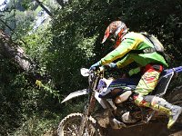 IMG 9213