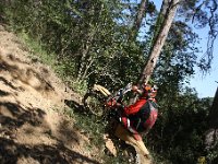 IMG 9232