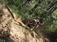 IMG 9234