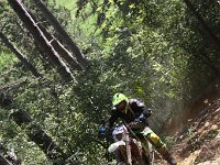 IMG 9245