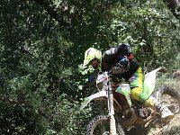 IMG 9248
