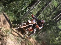 IMG 9268