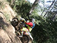 IMG 9279