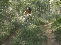 IMG 9292