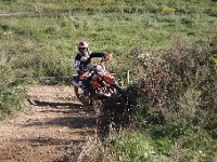 IMG 9295