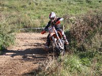 IMG 9296
