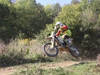IMG 9302