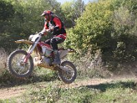 IMG 9303