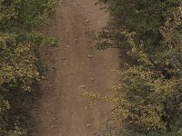 R7  3341 : Grafenbach, Sport, Veranstaltung aussen, Fahrzeug